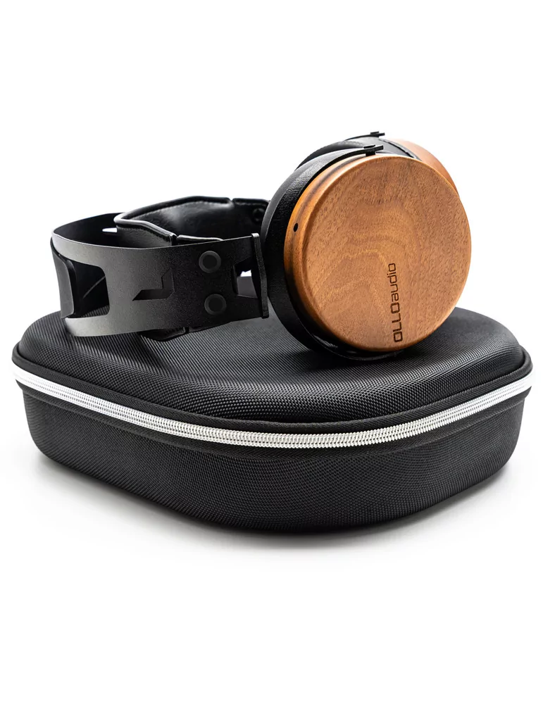 OLLO AUDIO R1 | MusicGoodDeal