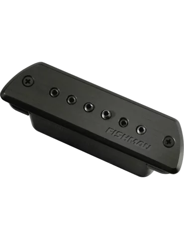 FISHMAN PRO-BLK-STK | MusicGoodDeal