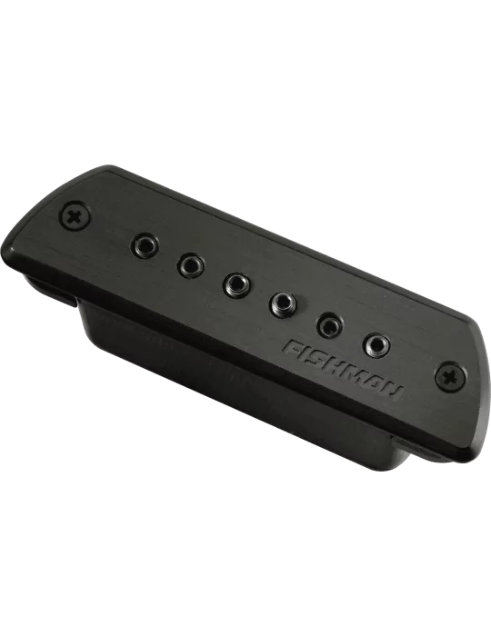 FISHMAN PRO-BLK-STK | MusicGoodDeal