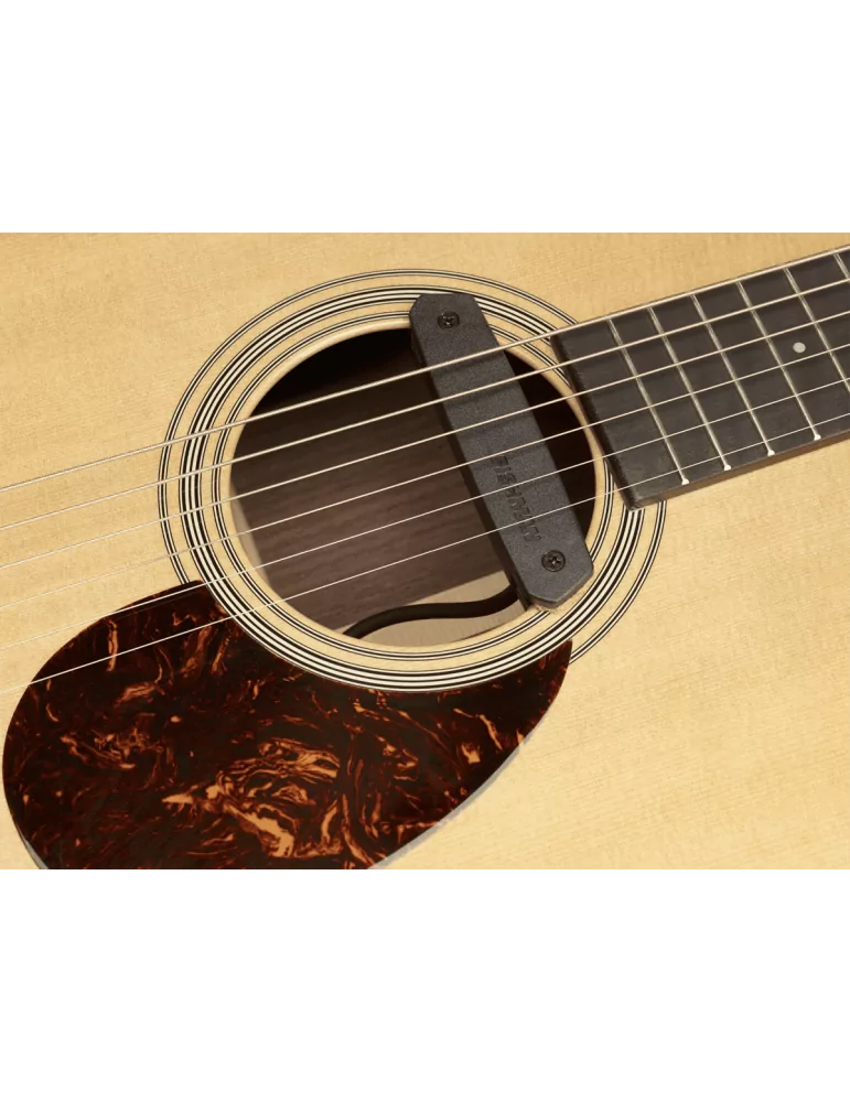 FISHMAN PRO-NEO-D01 | MusicGoodDeal