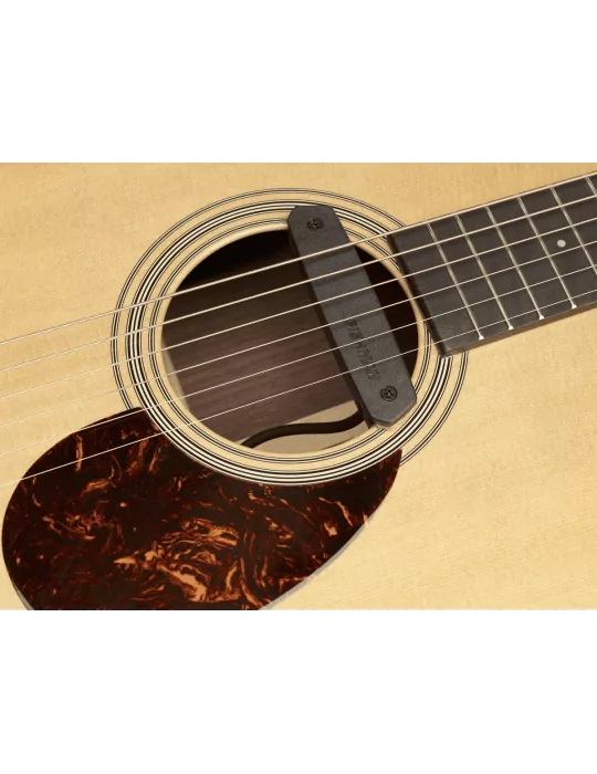 FISHMAN PRO-NEO-D01 | MusicGoodDeal