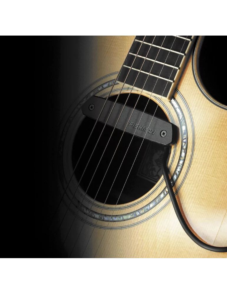 FISHMAN PRO-NEO-D01 | MusicGoodDeal