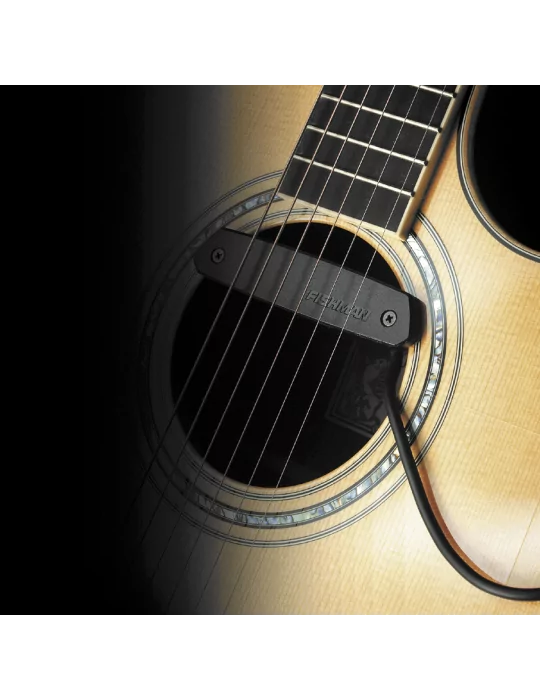 FISHMAN PRO-NEO-D01 | MusicGoodDeal