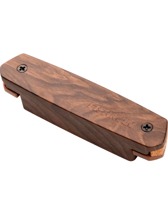 FISHMAN PRO-NEO-D04 | MusicGoodDeal