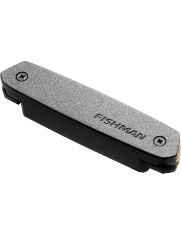 FISHMAN PRO-NEO-D02 | MusicGoodDeal