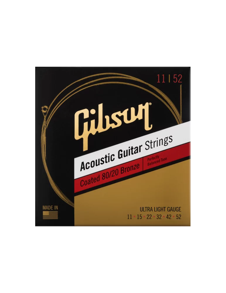 GIBSON ACCESSORIES SAG-CBRW11 | MusicGoodDeal