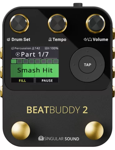 SINGULAR SOUND BEATBUDDY2 | MusicGoodDeal 2