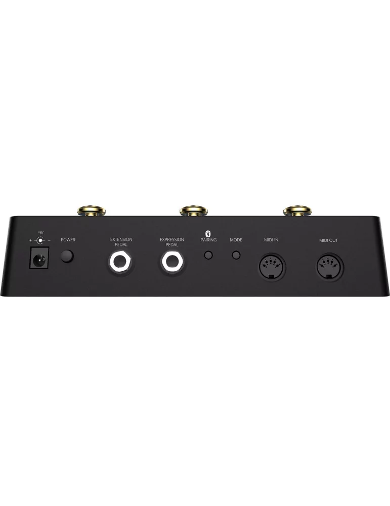 SINGULAR SOUND MIDI-MAESTRO-GOLD | MusicGoodDeal