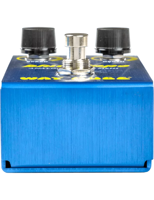  WAY HUGE WM61 Blue Hippo Mini|MusicGoodDeal 