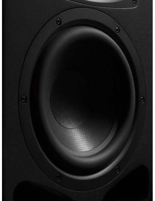 ADAM AUDIO S2V | MusicGoodDeal