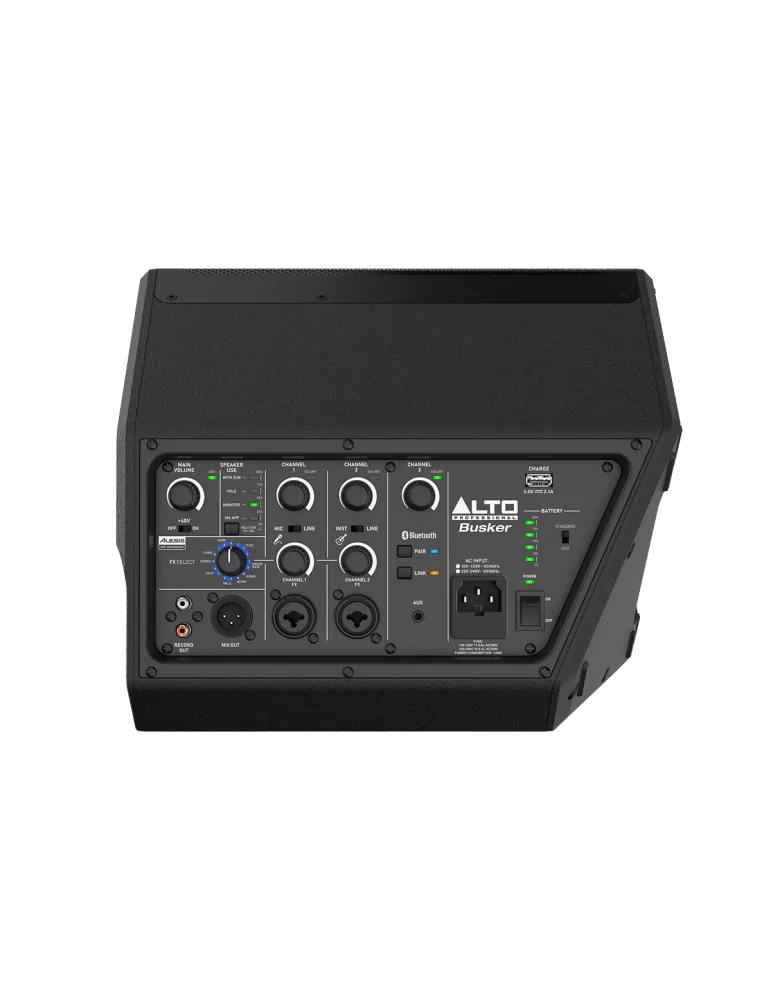 ALTO PROFESSIONAL BUSKER | MusicGoodDeal