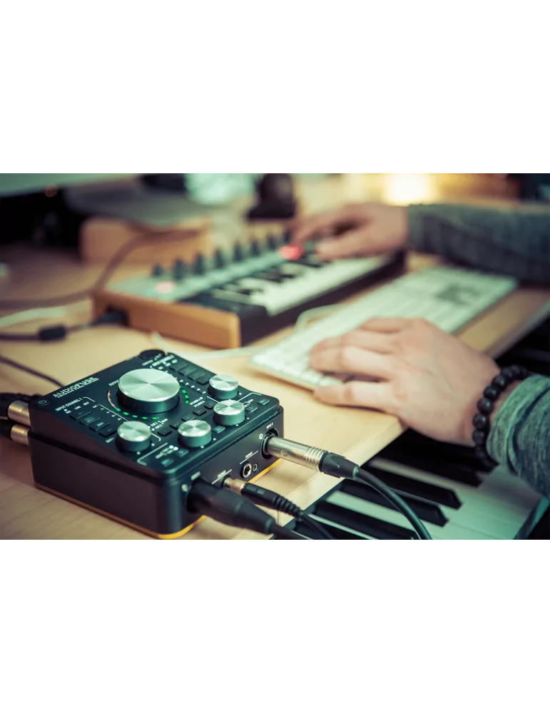 ARTURIA AUDIOFUSE-REV2 | MusicGoodDeal