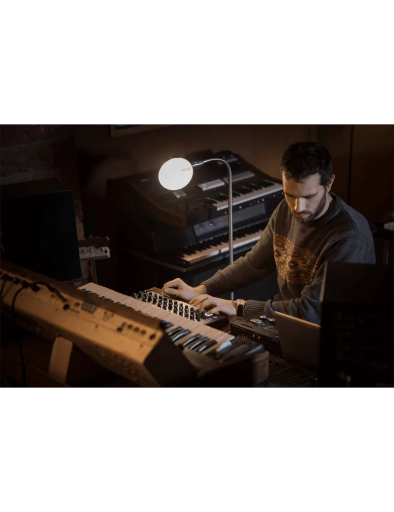  ARTURIA AUDIOFUSESTUDIO Estudio AudioFuse|MusicGoodDeal 