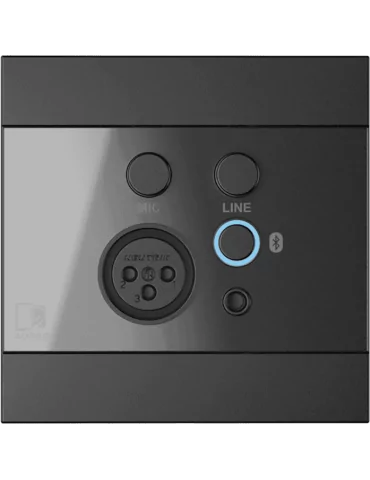 AUDAC WP225-B | MusicGoodDeal 2