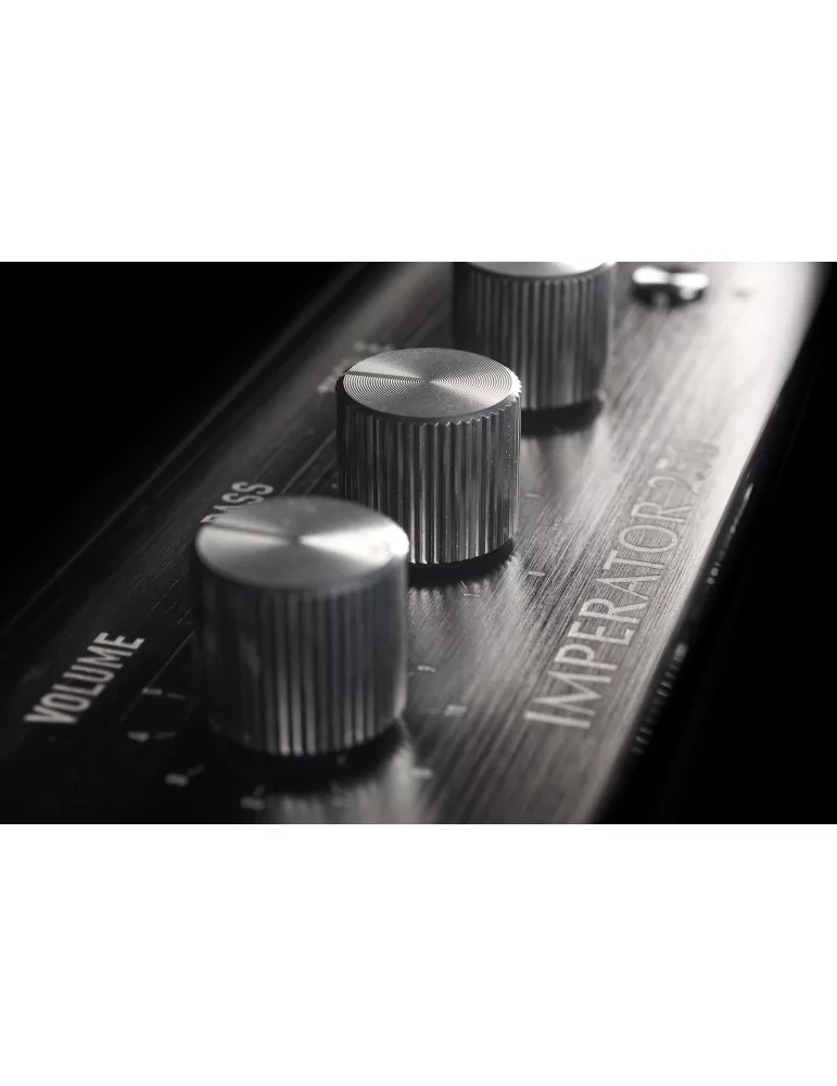 PLEYEL AUDIO IMP250BLK | MusicGoodDeal