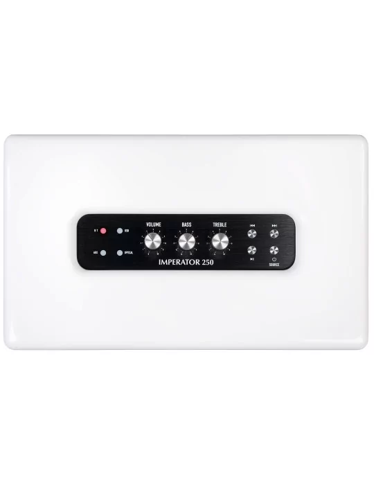 PLEYEL AUDIO IMP250WHT | MusicGoodDeal