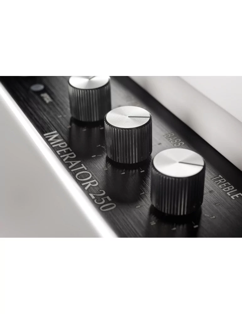 PLEYEL AUDIO IMP250WHT | MusicGoodDeal
