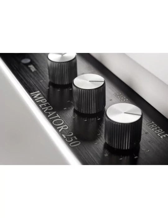 PLEYEL AUDIO IMP250WHT | MusicGoodDeal