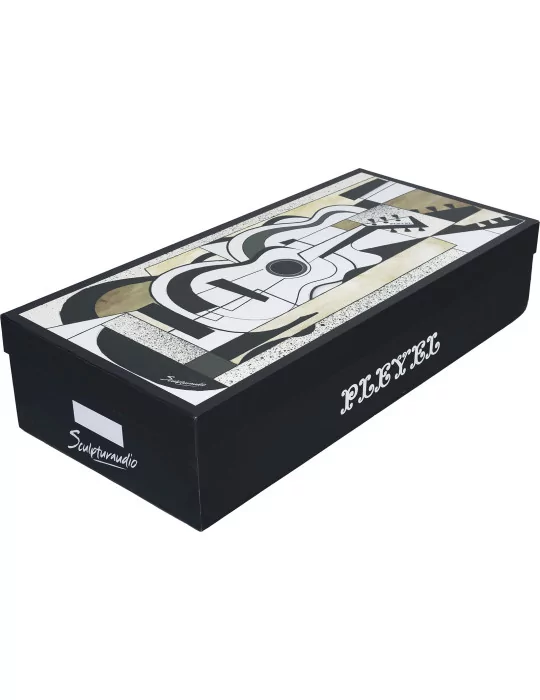 PLEYEL AUDIO SA-MAC | MusicGoodDeal