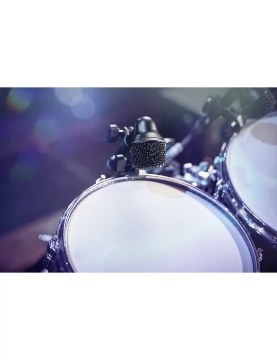 1125c1d491734fa16b7bcec7a6848036
