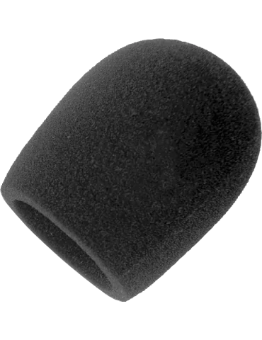 SHURE A100WS Spectacles - Bonnette Pour KSM137 Et KSM141|MusicGoodDeal 