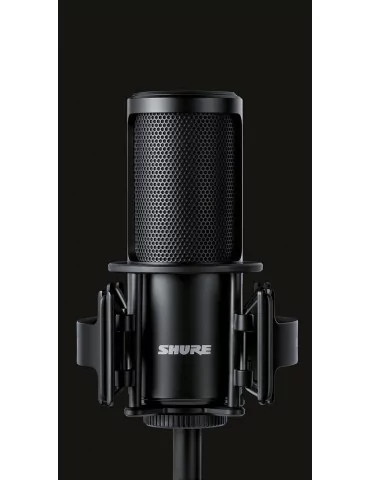 SHURE A4SM | MusicGoodDeal 2