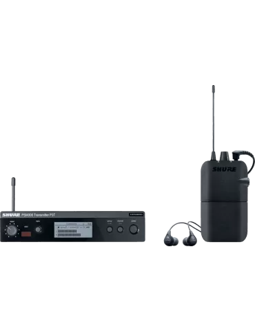  SHURE P3TER112GR-L19 Complete system - With SE112 earphones - L19 band|MusicGoodDeal 