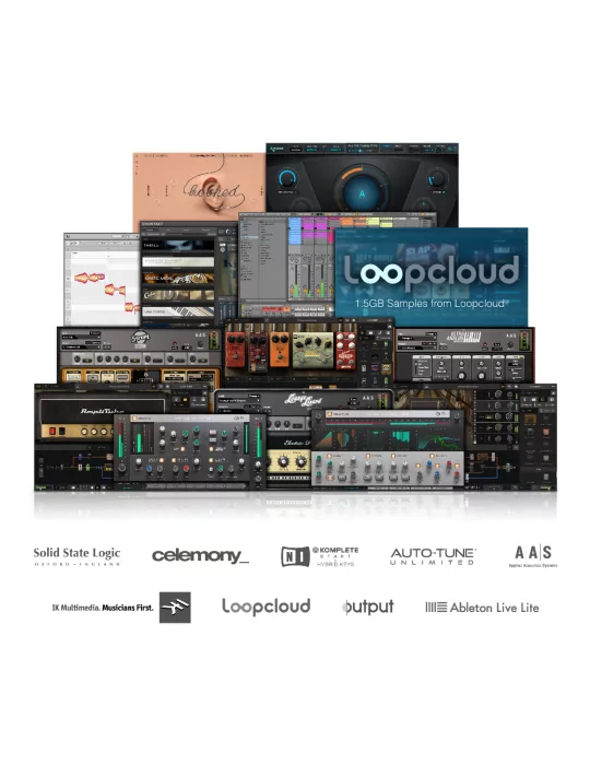  SOLID STATE LOGIC SSL12 USB-C - 4 micrófonos/línea, 2 instrumentos, 4 salidas, MIDI, ADAT|MusicGoodDeal 
