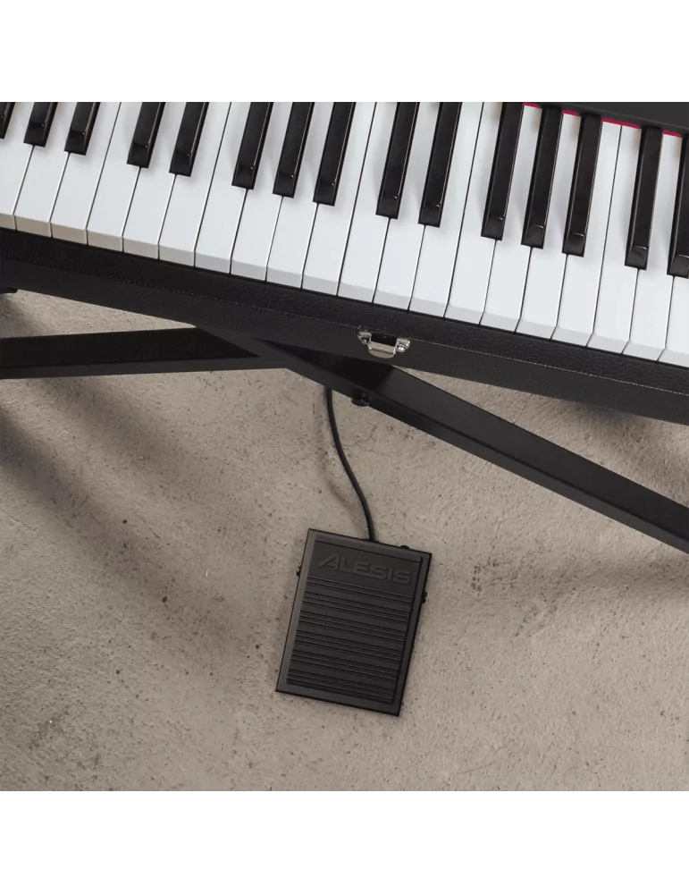 ALESIS ASP-1MK2 | MusicGoodDeal