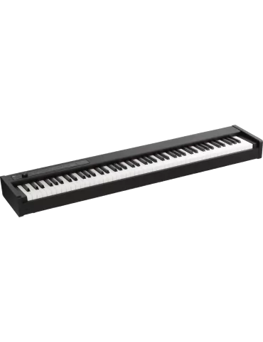KORG D1 | MusicGoodDeal
