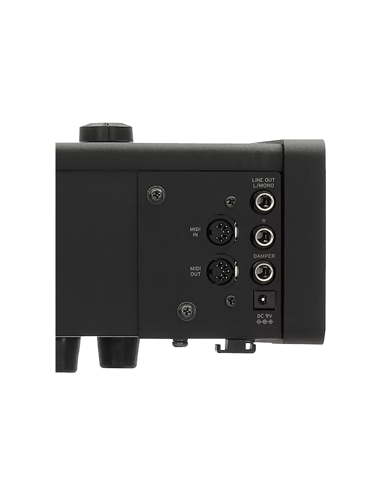 KORG D1 | MusicGoodDeal