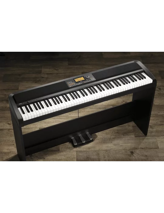 KORG XE20-SP | MusicGoodDeal