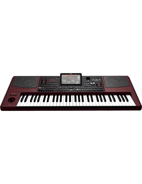 KORG PA1000 | MusicGoodDeal