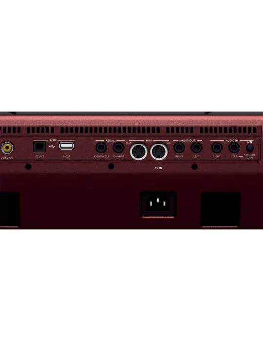 KORG PA1000 | MusicGoodDeal