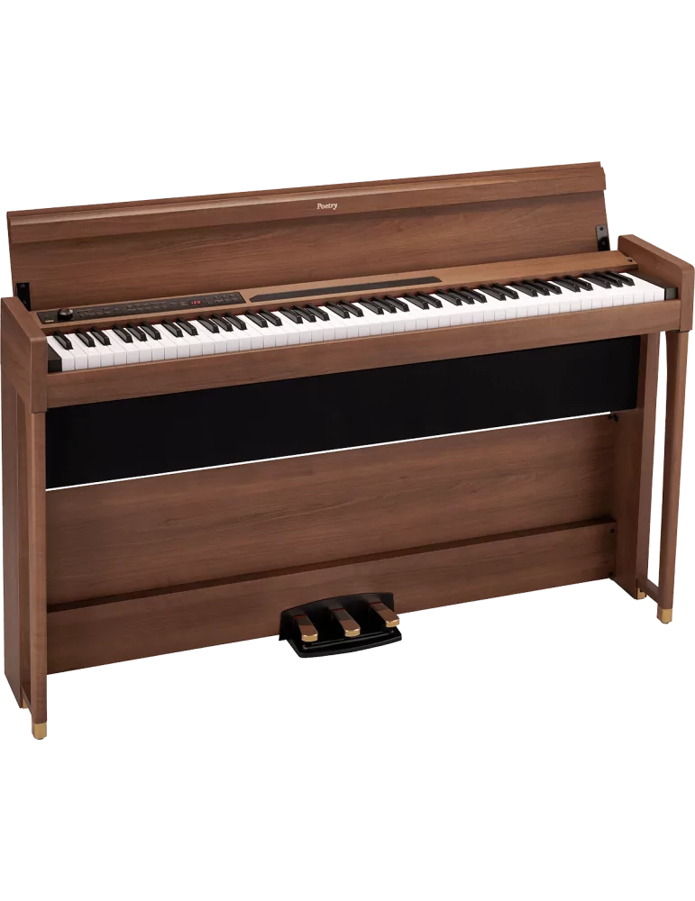 KORG POETRY | MusicGoodDeal