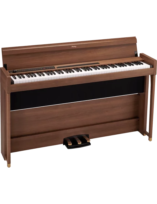 KORG POETRY | MusicGoodDeal