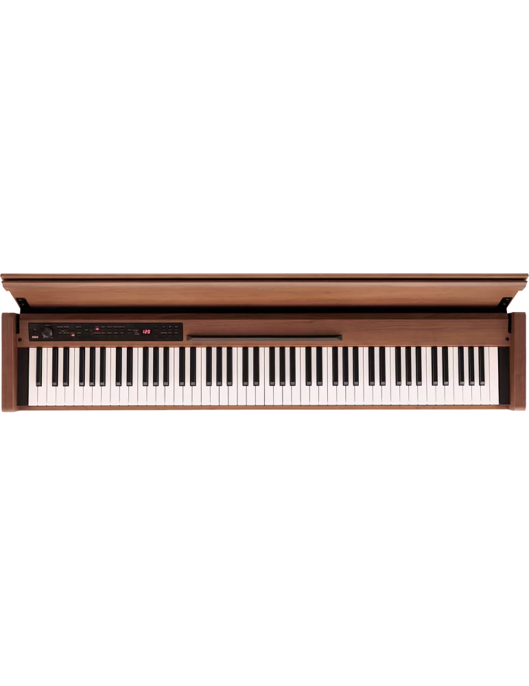KORG POETRY | MusicGoodDeal
