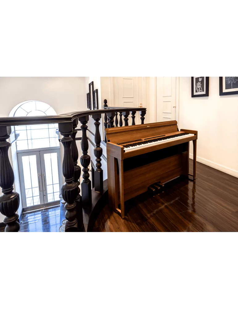 KORG POETRY | MusicGoodDeal