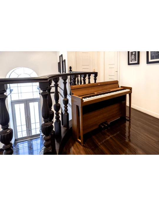 KORG POETRY | MusicGoodDeal