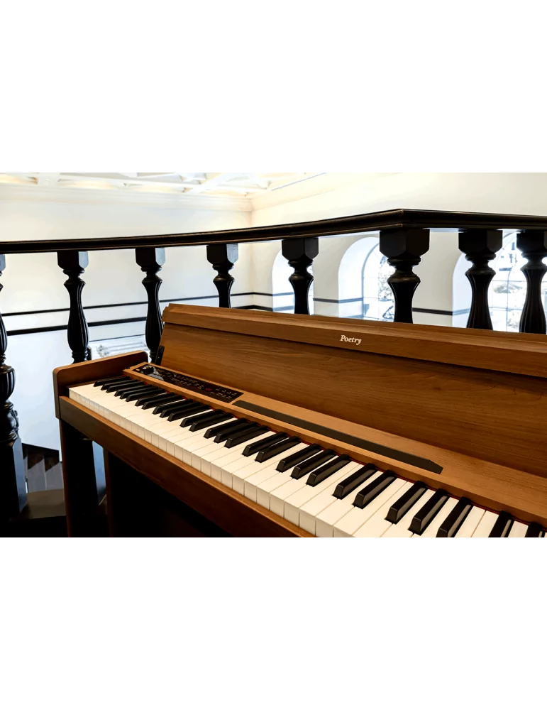 KORG POETRY | MusicGoodDeal