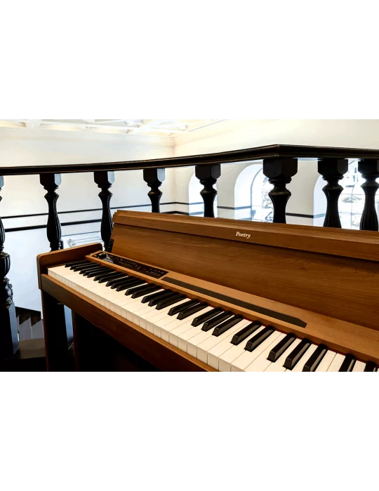 KORG POETRY | MusicGoodDeal