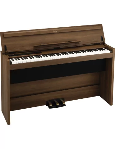 KORG POETRY-M | MusicGoodDeal