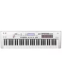 KORG KROSS2-61-WH | MusicGoodDeal