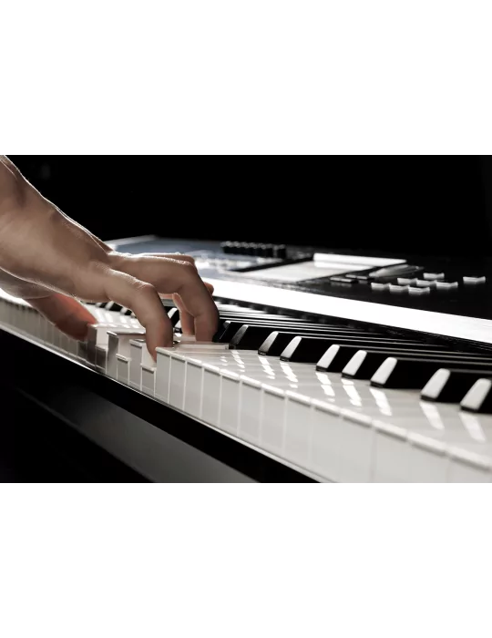 KORG NAUTILUS-88-AT | MusicGoodDeal