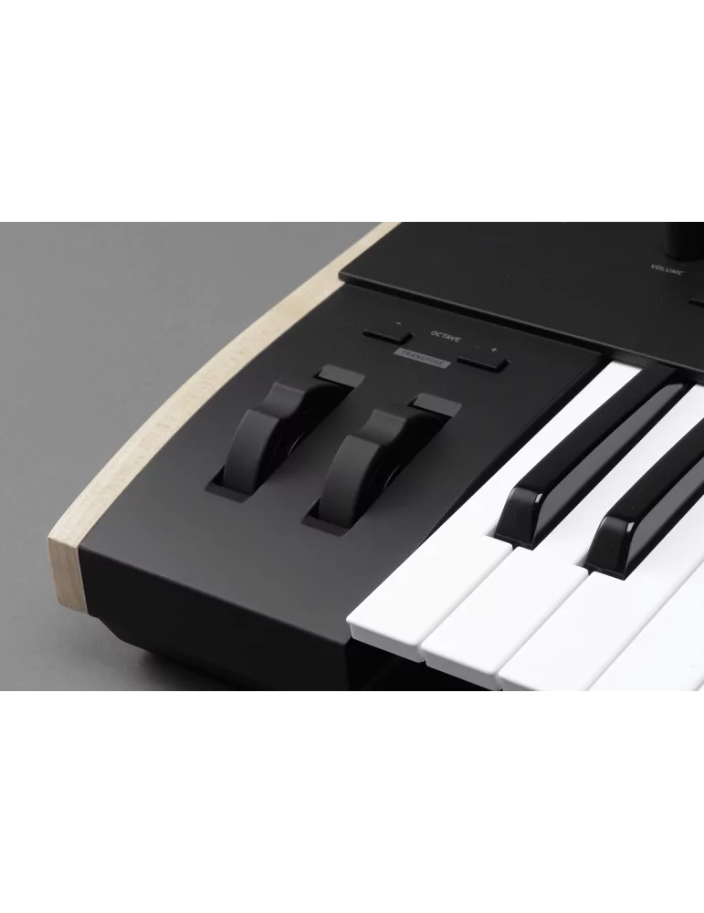 KORG KEYSTAGE-49 | MusicGoodDeal