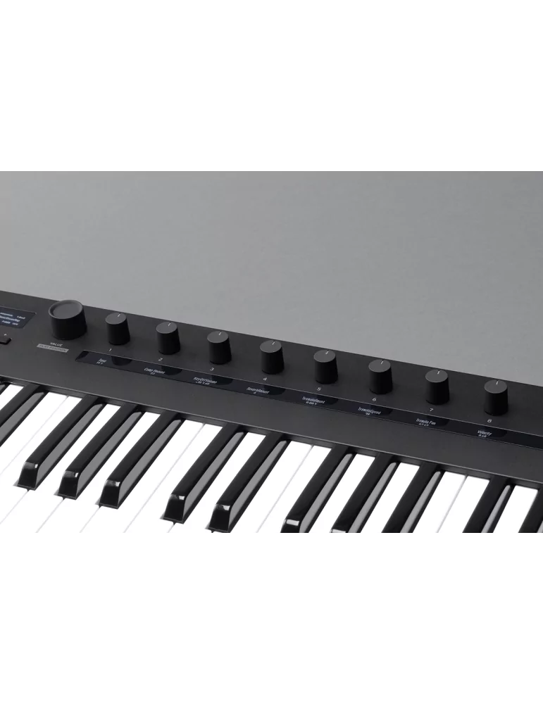KORG KEYSTAGE-61 | MusicGoodDeal