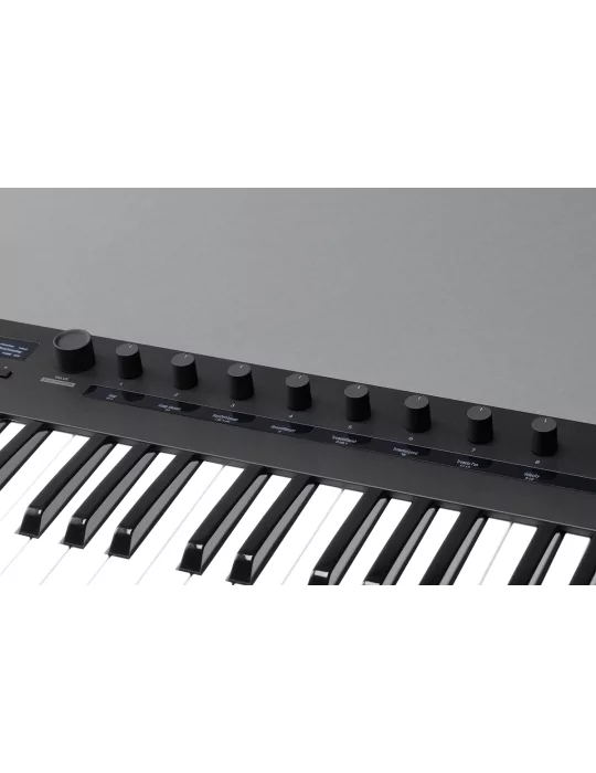 KORG KEYSTAGE-61 | MusicGoodDeal