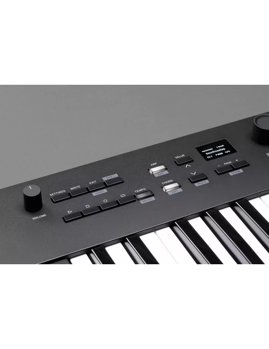 KORG KEYSTAGE-61 | MusicGoodDeal