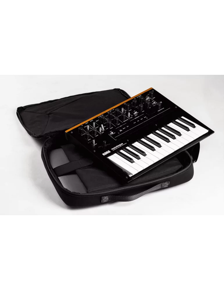 KORG SC-MONOLOGUE | MusicGoodDeal