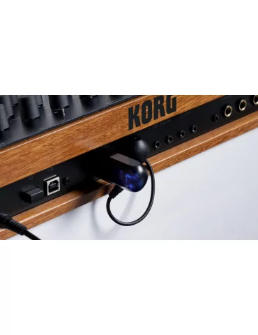 KORG BM-1 | MusicGoodDeal 2